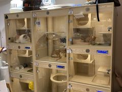 -Pets First伊珊娜洗护·精致美容·家庭式寄养(新会路店)