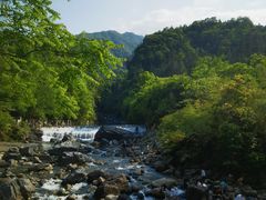 -石台牯牛降景区