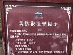 -白帝城·瞿塘峡景区