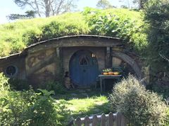 -怀托摩萤火虫洞