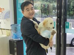 -安安宠物医院(情缘分院)