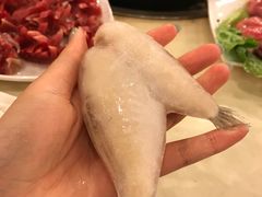 -朱氏胖子烂火锅(洪崖洞店)