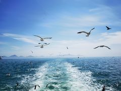 -海驴岛(荣成市)