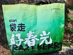 -莓超疯(百源店)