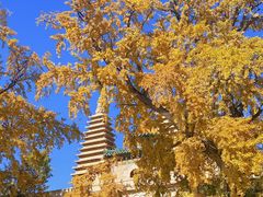 -北京石刻艺术博物馆(五塔寺)