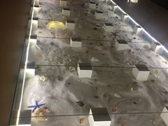 -青岛贝壳博物馆