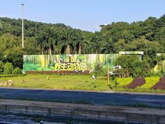 -深圳野生动物园