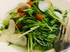 -素心小筑(后沙裕镇店)