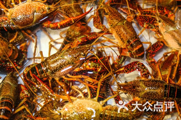 二子龙虾(栖山路店)图片 - 第3张