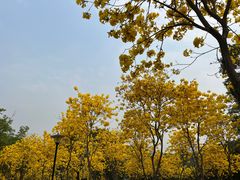 -天河儿童公园