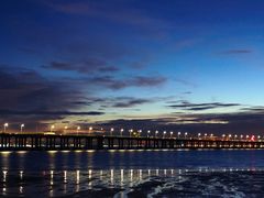 -宝安西湾红树林湿地公园