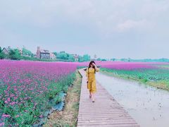 -花博汇(知音花月夜)