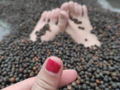 -三江森林温泉度假区