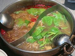 -菌自在·云南野生菌火锅(长安万达店)