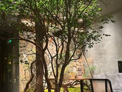 -森SPA·泰式按摩·精油Massage(宝安中心店)