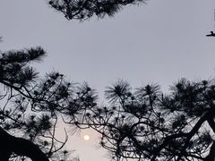 -萍乡武功山风景名胜区