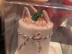 -泉州海丝野生动物世界