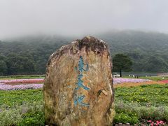 -广州市石门国家森林公园
