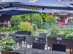 -bluefrog蓝蛙(水游城店)