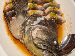 -龙宴海鲜城(经中路店)