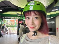 -圣淘沙天际线斜坡滑车