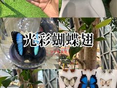 -LuOne凯德晶萃广场(徐家汇路店)