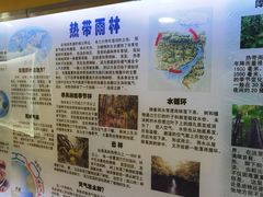 -上海大自然野生昆虫馆(东方明珠·爬宠昆虫探索中心)