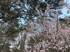 -天津盘山风景名胜区