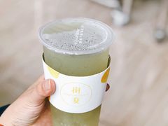 多肉绿葡萄-树夏(金楠天街店)