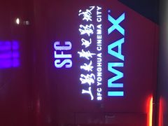 -SFC上影影城(港汇永华IMAX激光店)