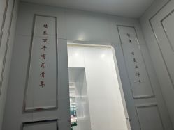-镁连社·美联社