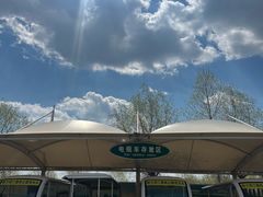 -呼兰河口湿地公园
