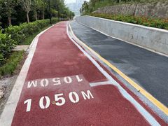 -大渡口区义渡公园