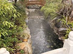 -地中海传奇水汇