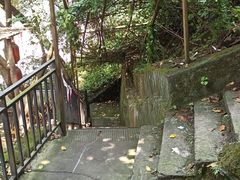 -茶泡饭(李子坝店)