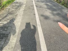 -都江堰中华大熊猫苑