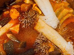 -若蘭慈·无国界素食料理(欢乐海岸店)