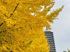 -玲珑塔公园