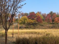 -黄陂区野村谷景区