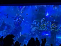 -波塞冬海底世界