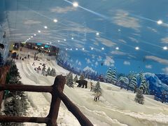 -世界之窗阿尔卑斯冰雪世界