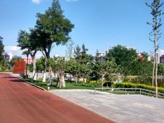 -雁滩公园