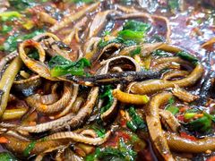 -乐山第一家临江鳝丝(茶坊路店)