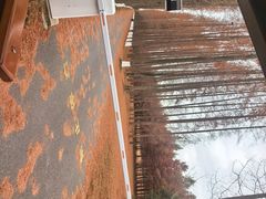 -黄海国家森林公园