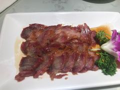 -南枝记