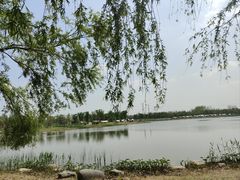 -上海滨江森林公园
