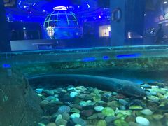 -石家庄海洋公园
