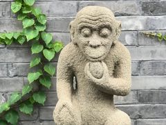 -宛平九号