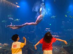 -海棠湾洲际-涛·海底餐厅·美人鱼·自助餐·海底隧道