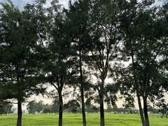 -汉长安城未央宫国家考古遗址公园